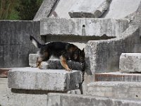 WhatsApp Image 2018-09-23 at 17.53.20 (1)